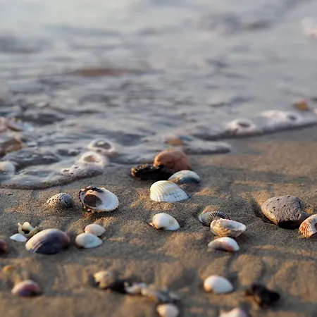 Sand, Sun, And Enjoy Your Escape Bibione